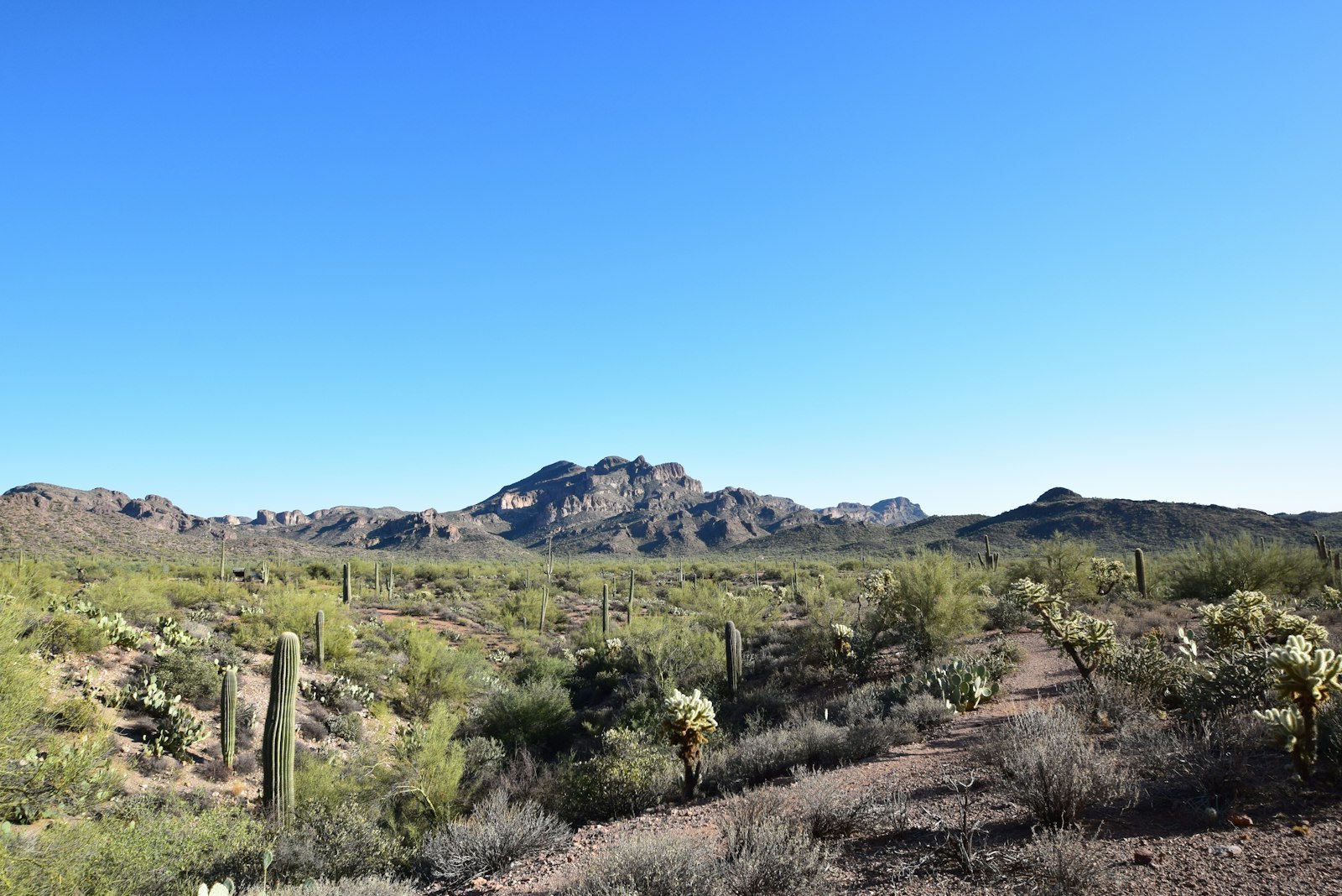 Mesa